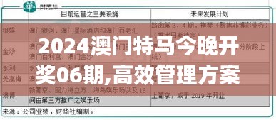 2024澳门特马今晚开奖06期,高效管理方案解答解释_专注集98.008