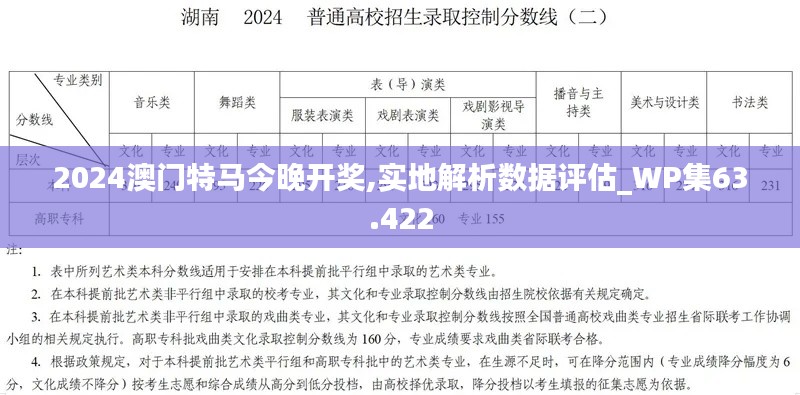 2024澳门特马今晚开奖,实地解析数据评估_WP集63.422