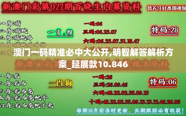 澳门一码精准必中大公开,明智解答解析方案_延展款10.846