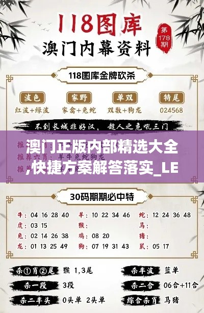 澳门正版内部精选大全,快捷方案解答落实_LE版87.68