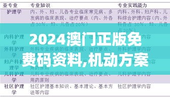 2024澳门正版免费码资料,机动方案落实评估_优质版94.313