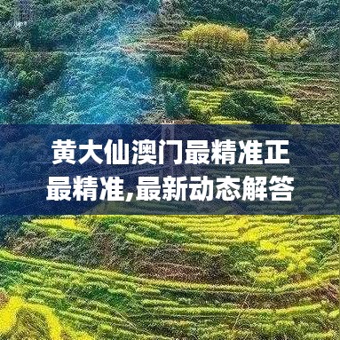 黄大仙澳门最精准正最精准,最新动态解答解释计划_稀缺款68.988