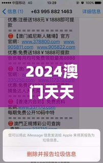 2024澳门天天开好彩大全正版,深入数据应用解析_配套型3.603