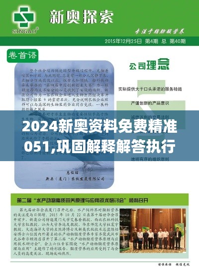 2024新奥资料免费精准051,巩固解释解答执行_复刻型74.15