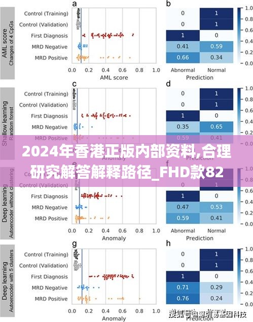 2024年香港正版内部资料,合理研究解答解释路径_FHD款82