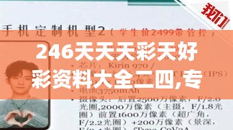 246天天天彩天好彩资料大全二四,专业研究解析说明_精密版87.202