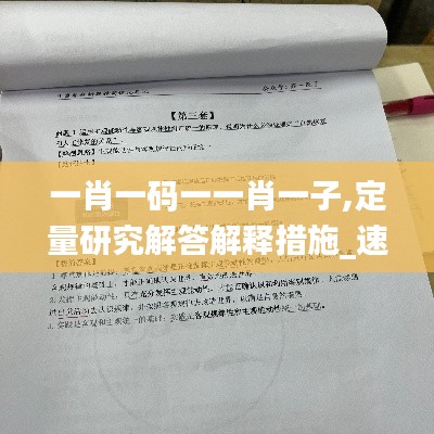 一肖一码一一肖一子,定量研究解答解释措施_速成集16.96