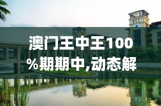 澳门王中王100%期期中,动态解析词语_Harmony款2.41