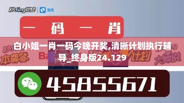 白小姐一肖一码今晚开奖,清晰计划执行辅导_终身版24.129