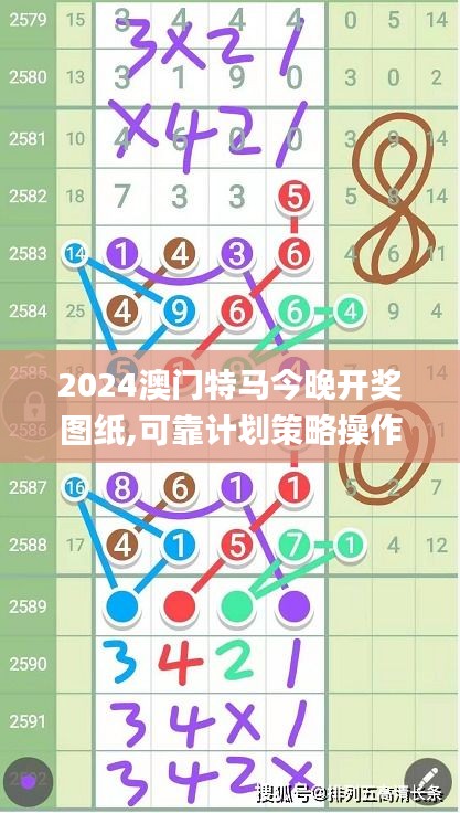 2024澳门特马今晚开奖图纸,可靠计划策略操作_3D46.942