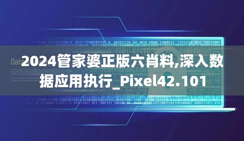 2024管家婆正版六肖料,深入数据应用执行_Pixel42.101