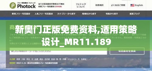 新奥门正版免费资料,适用策略设计_MR11.189