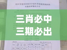 三肖必中三期必出资料,实地执行考察数据_公开集44.746