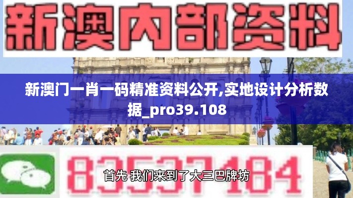 新澳门一肖一码精准资料公开,实地设计分析数据_pro39.108