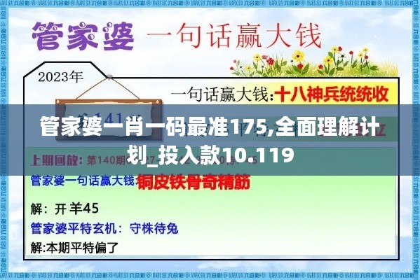 管家婆一肖一码最准175,全面理解计划_投入款10.119