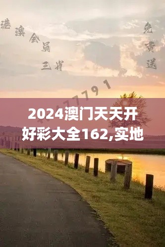 2024澳门天天开好彩大全162,实地策略解析现象_迷你版68.507