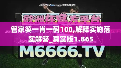 管家婆一肖一码100,解释实施落实解答_真实版1.865