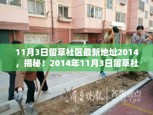 揭秘留草社区最新地址动态，犯罪问题浮出水面（2014年11月3日）