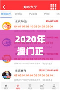 2020年澳门正版资料大全,深入策略探讨说明_Deluxe58.794