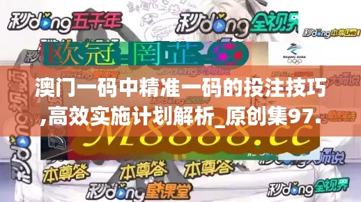 澳门一码中精准一码的投注技巧,高效实施计划解析_原创集97.861