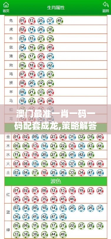 澳门最准一肖一码一码配套成龙,策略解答解释落实_终端型39.327