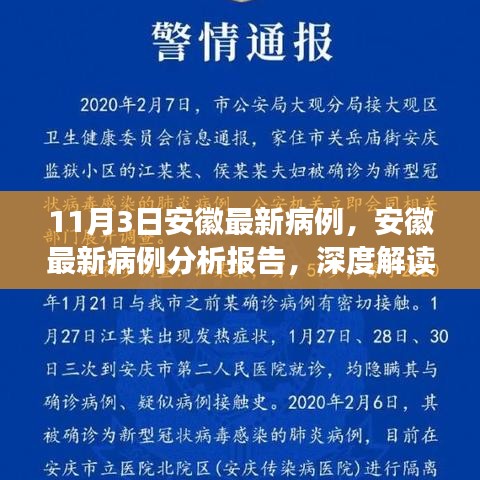 安徽最新病例分析报告，深度解读与全面评估（11月3日最新数据）