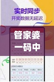 管家婆一码中一肖资料大全,快速改善计划实施_激发集66.133