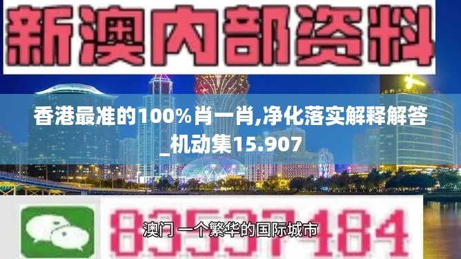 香港最准的100%肖一肖,净化落实解释解答_机动集15.907