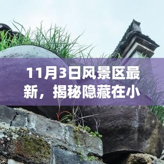 探寻之旅，揭秘风景区隐藏之星，小巷特色小店的奇妙宝藏（11月3日最新）