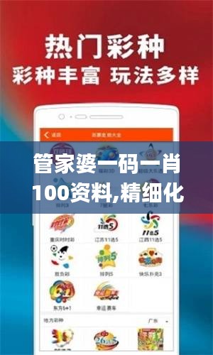 管家婆一码一肖100资料,精细化执行计划_强力款29.887