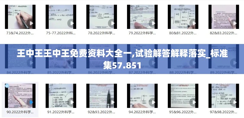 王中王王中王免费资料大全一,试验解答解释落实_标准集57.851