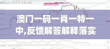 澳门一码一肖一特一中,反馈解答解释落实_规划款36.347