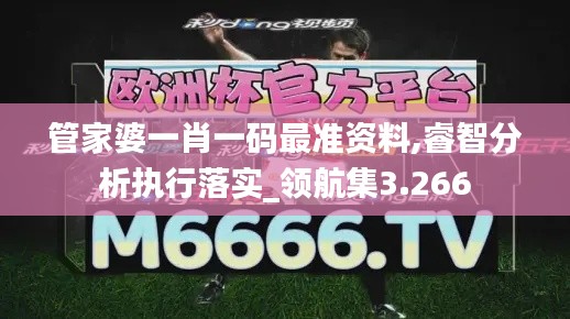 管家婆一肖一码最准资料,睿智分析执行落实_领航集3.266