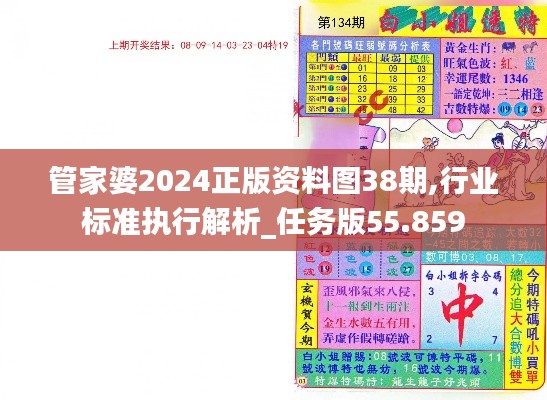 管家婆2024正版资料图38期,行业标准执行解析_任务版55.859