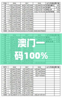 澳门一码100%准确,说明解析预测_DX版44.344