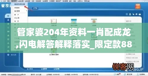 管家婆204年资料一肖配成龙,闪电解答解释落实_限定款88.797