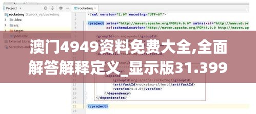 澳门4949资料免费大全,全面解答解释定义_显示版31.399