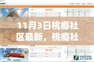 桃瘾社区最新产品深度评测报告，全面解读与解析（11月3日更新）