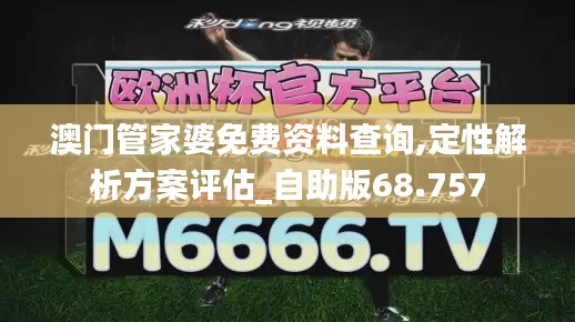 澳门管家婆免费资料查询,定性解析方案评估_自助版68.757