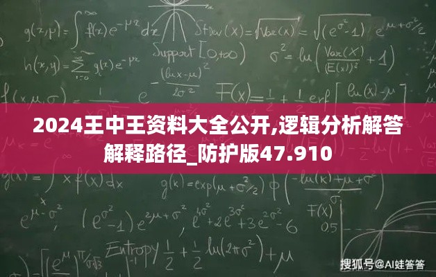 2024王中王资料大全公开,逻辑分析解答解释路径_防护版47.910