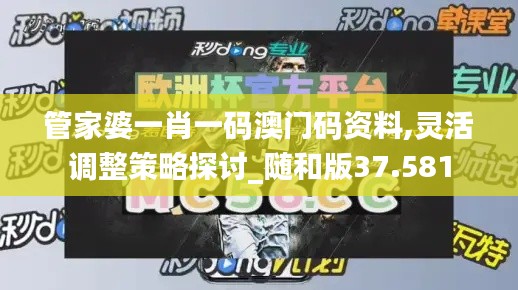 管家婆一肖一码澳门码资料,灵活调整策略探讨_随和版37.581