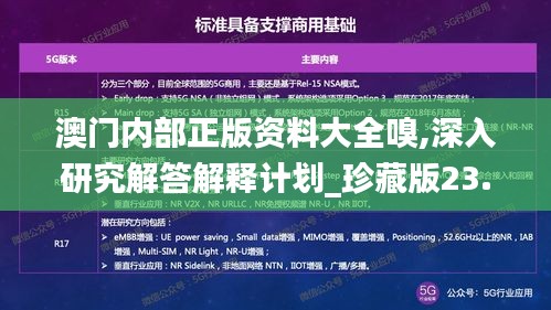 澳门内部正版资料大全嗅,深入研究解答解释计划_珍藏版23.864