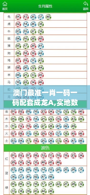 澳门最准一肖一码一码配套成龙A,实地数据执行分析_袖珍版43.283