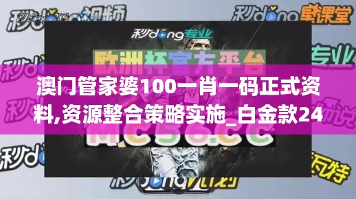 澳门管家婆100一肖一码正式资料,资源整合策略实施_白金款24.337