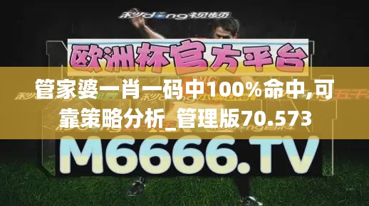 管家婆一肖一码中100%命中,可靠策略分析_管理版70.573