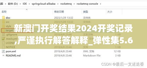 新澳门开奖结果2024开奖记录,严谨执行解答解释_弹性集5.676