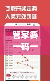 管家婆一码一肖100资料,深度数据应用策略_排球版47.458