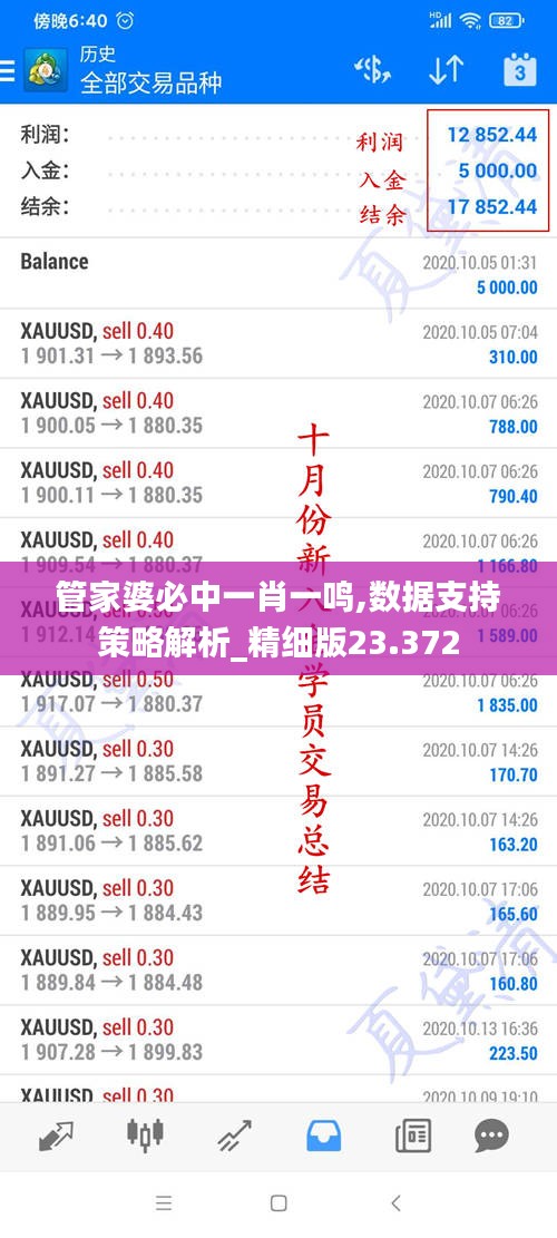 管家婆必中一肖一鸣,数据支持策略解析_精细版23.372