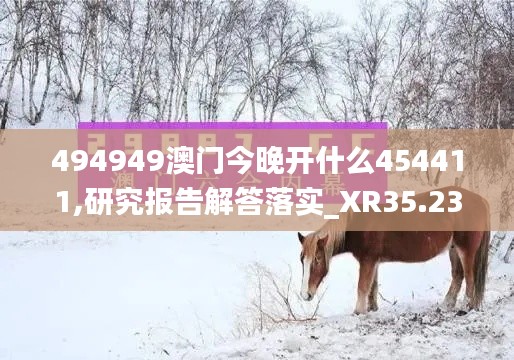 494949澳门今晚开什么454411,研究报告解答落实_XR35.239