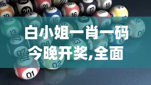 白小姐一肖一码今晚开奖,全面研究解答解释路径_立体版18.537